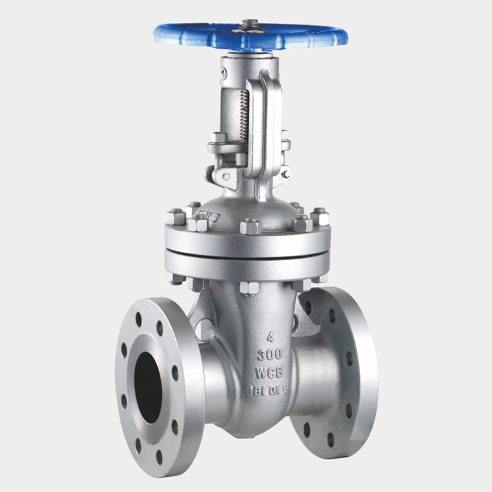 Rising Stem Gate Valve