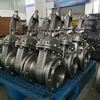 Rising Stem Gate Valve