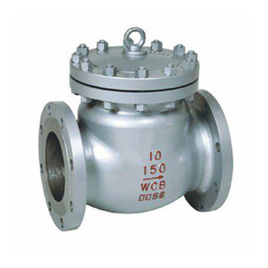 Swing Check Valve