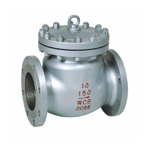 Swing Check Valve
