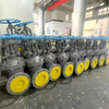 Rising Stem Gate Valve