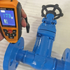 Bellows Gate Valve