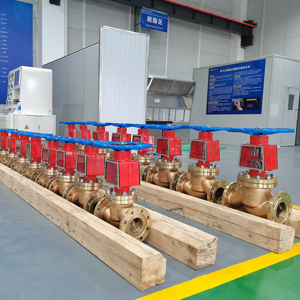 Oxygen Globe Valve