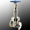 Bellows Gate Valve