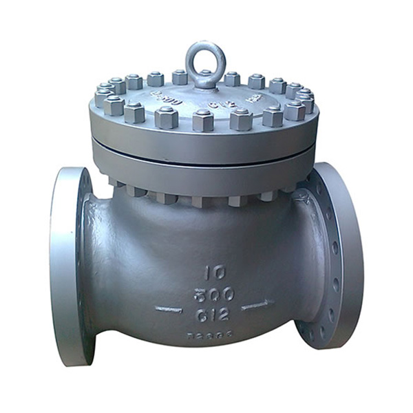 Swing Check Valve