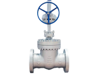 Gate Valve