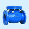 Swing Check Valve