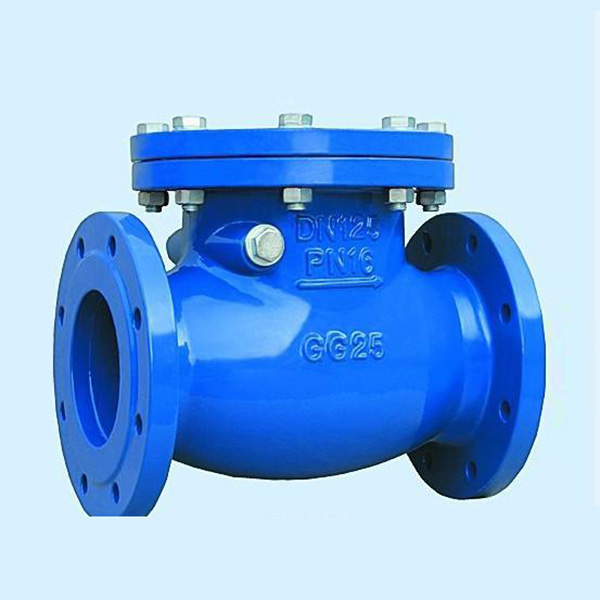 Swing Check Valve
