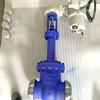 Bellows Gate Valve