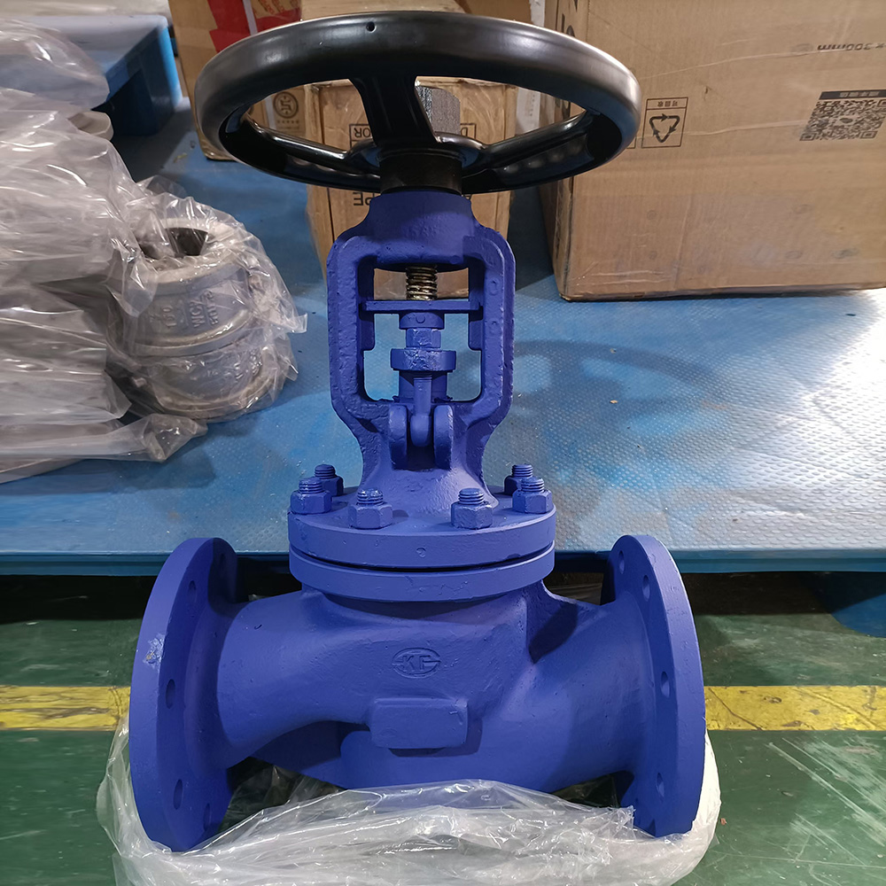 Bellows Globe Valve