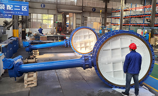 Eccentric Butterfly Valve