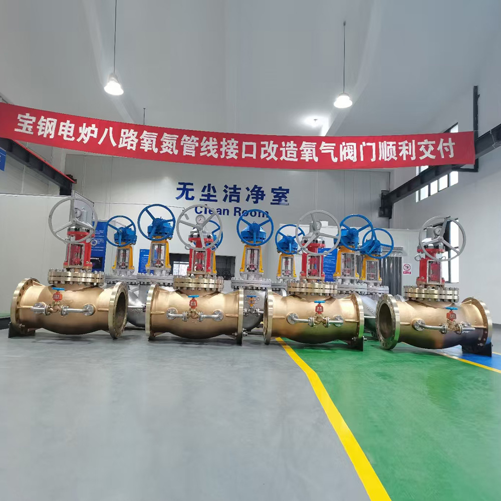Oxygen Globe Valve
