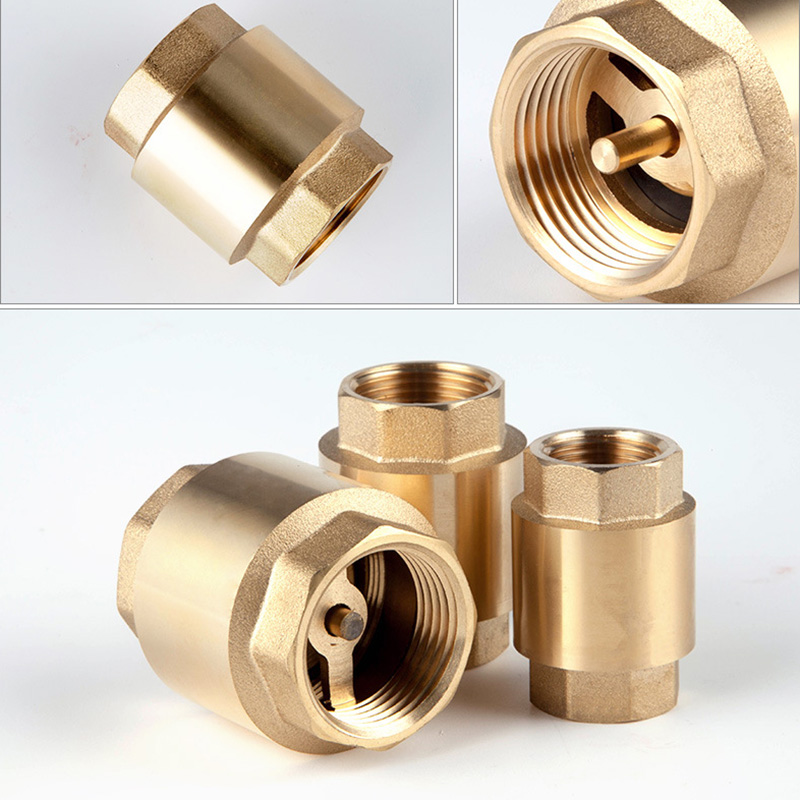 Lift Check Valve for Chemical Processing