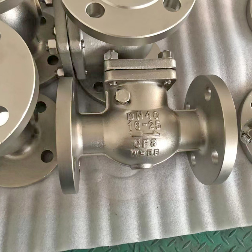 Swing Check Valve