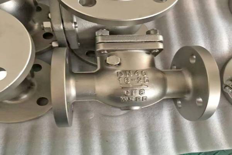 Swing Check Valve Buying Guide.jpg