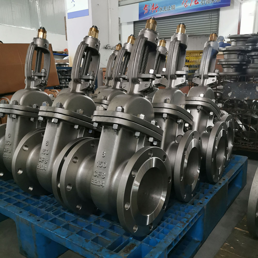 Rising Stem Gate Valve Industrial Setup