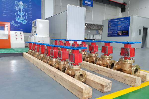 Oxygen Copper Valves