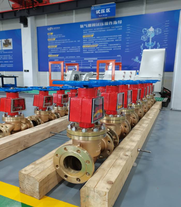 High-Pressure Oxygen Copper Valves